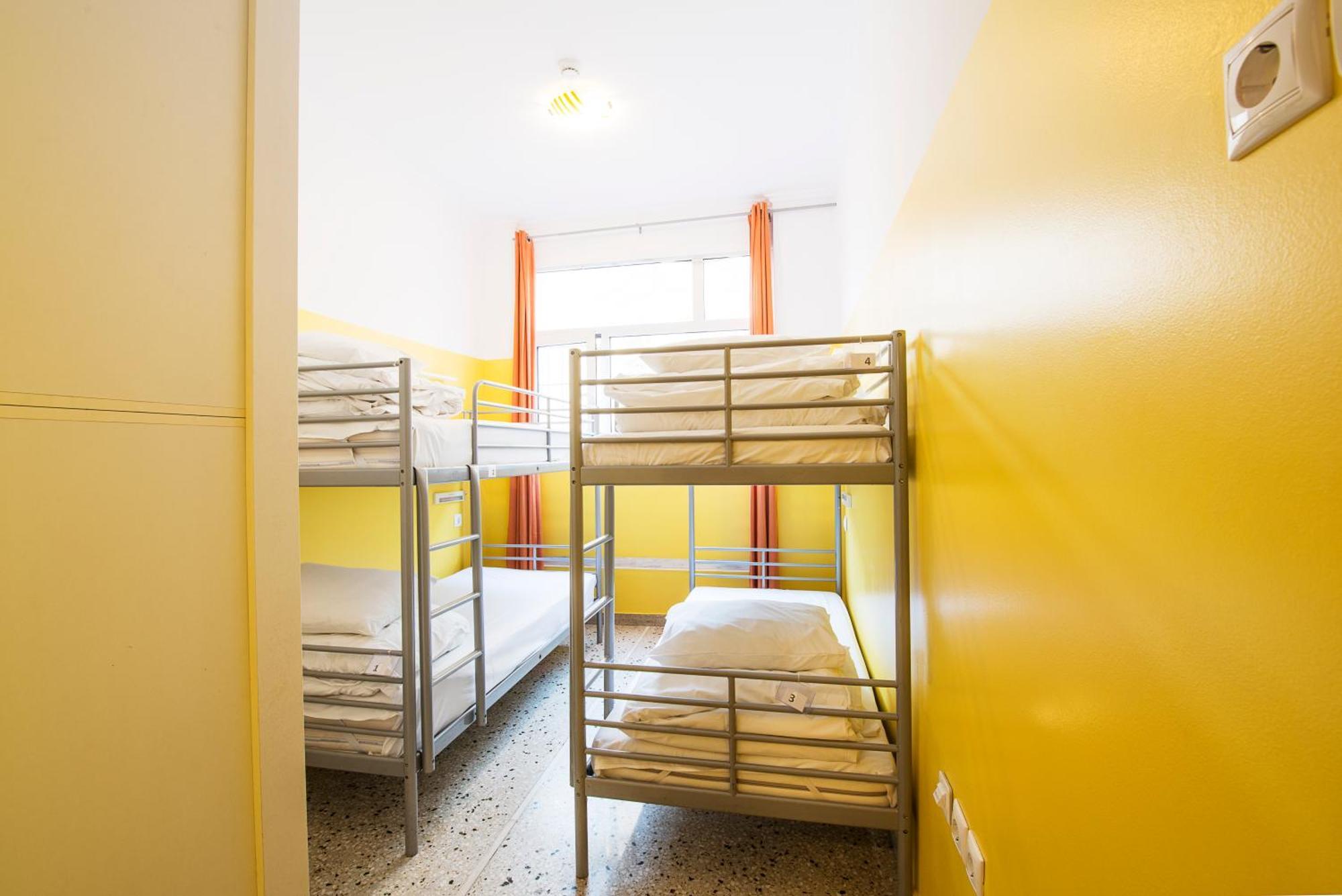 Bed 4-Bed Mixed Dorm Ensuite